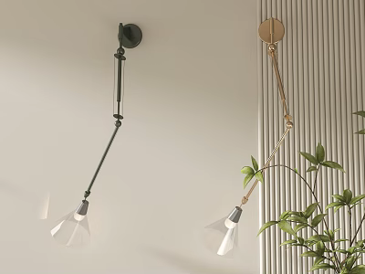 Black And Gold Adjustable Arm Wall Lamps With Transparent Shades Near Green Plant 3d model