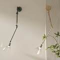 Black And Gold Adjustable Arm Wall Lamps With Transparent Shades Near Green Plant