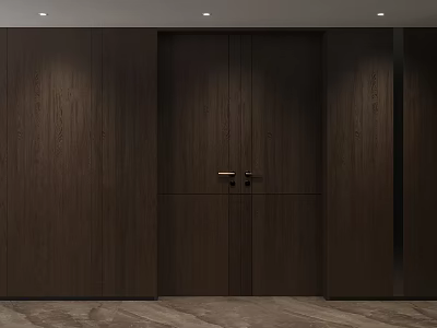 Modern Entryway Hallway Design with Dark Wood Doors Wooden Walls and Recessed Ceiling Lights 3d model