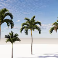 Tall Palm Trees Standing On White Sandy Ground Under Clear Blue Sky With Clouds 3d model