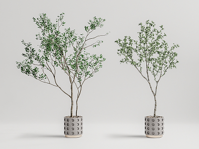 Modern potted plant potted landscape tree 3d model