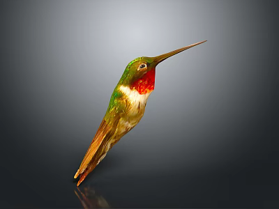Green Hummingbird With Red Throat And Long Beak Displayed On Dark Background With Reflection 3d model