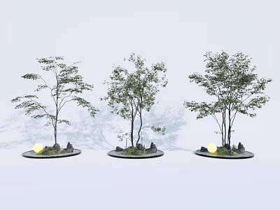 Traditional Karesansui Garden with Stone Small Trees Moss and Garden Lanterns 3d model