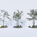 Traditional Karesansui Garden with Stone Small Trees Moss and Garden Lanterns