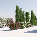 Various Ornamental Trees and Shrubs with Different Shapes for Garden Landscaping