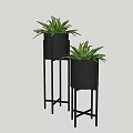 Modern Decorative Potted Plants With Black Pots And Stands Featuring Green Leaves