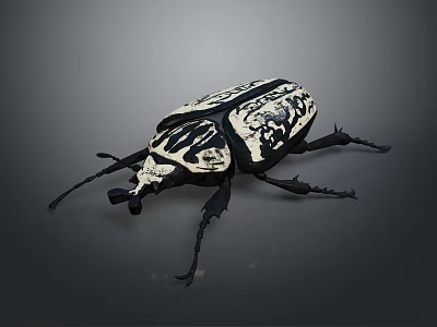 Black and White Patterned Beetle with Intricate Carapace Design Long Antennae and Segmented Legs 3d model