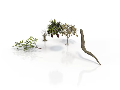 Different Plants with Leafy Branches Small Shrubs Fruits and Curved Branch on White Background 3d model