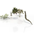 Different Plants with Leafy Branches Small Shrubs Fruits and Curved Branch on White Background