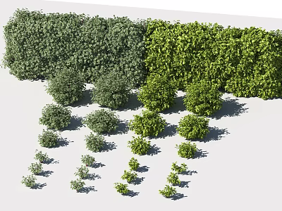 Different Types of Shrubs for Garden Landscaping with Green Hedge and Various Sizes 3d model