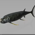 Realistic Large Blue Green Fish With Open Mouth Yellow Fins And Tail On Gray Background