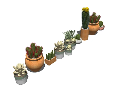 Bonsai Potted Plants With Cactus Succulents In Terracotta Pots Arranged In A Row 3d model