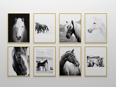 Eight Framed Black and White Horse Paintings with Golden Frames for Wall Decor 3d model