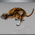 Realistic Orange Black Striped Tiger With Open Mouth And Reflection On Gray Background