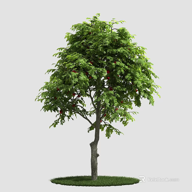 Tall Arbor With Lush Green Leaves And Vibrant Foliage In Natural Setting 3d model 