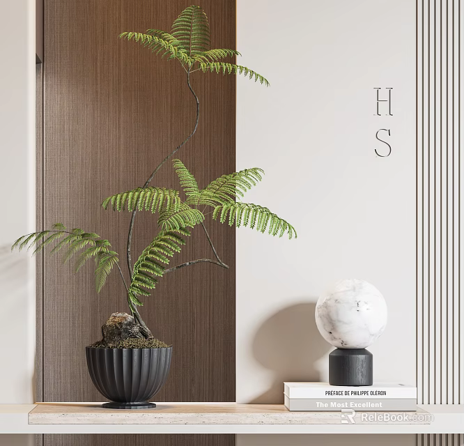 Bonsai Potted Fern Plant With Black Pot And Marble Decor On Wooden Wall Background 3d model 