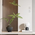 Bonsai Potted Fern Plant With Black Pot And Marble Decor On Wooden Wall Background