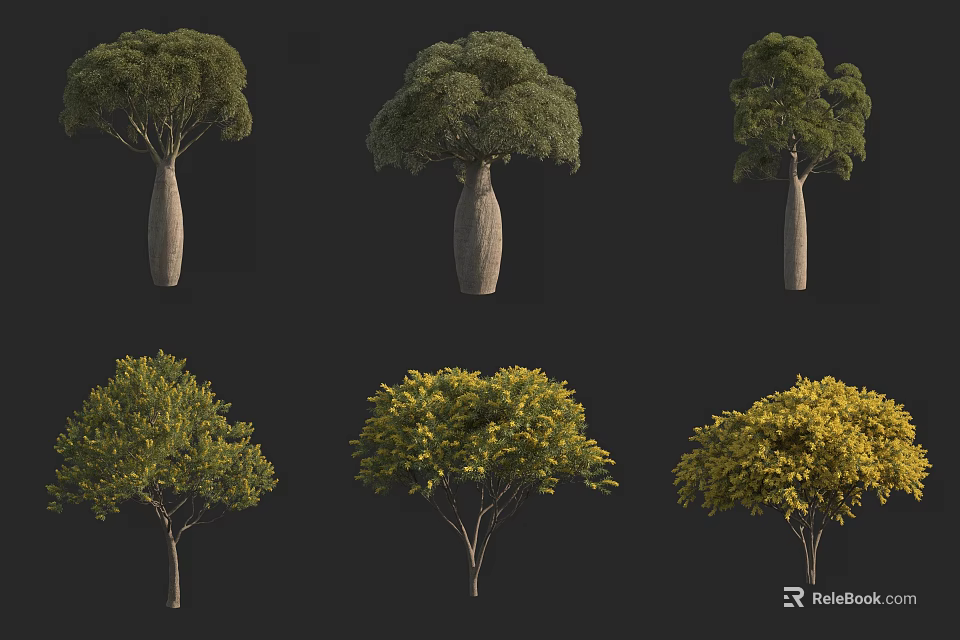 Various Arbor Trees With Different Shapes Thick Trunks And Colorful Foliage 3d model