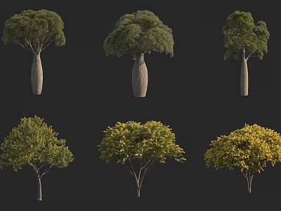 Various Arbor Trees With Different Shapes Thick Trunks And Colorful Foliage 3d model