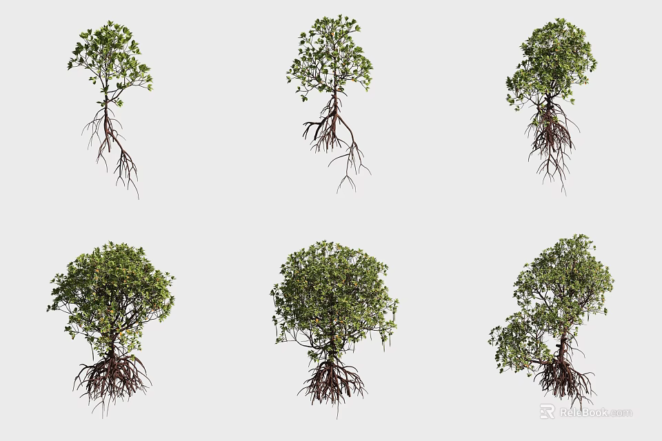 Various Types of Shrubs With Visible Roots And Different Growth Forms 3d model 