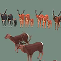 Group of Deer with Various Sizes Antlers and Fawns in Natural Scene