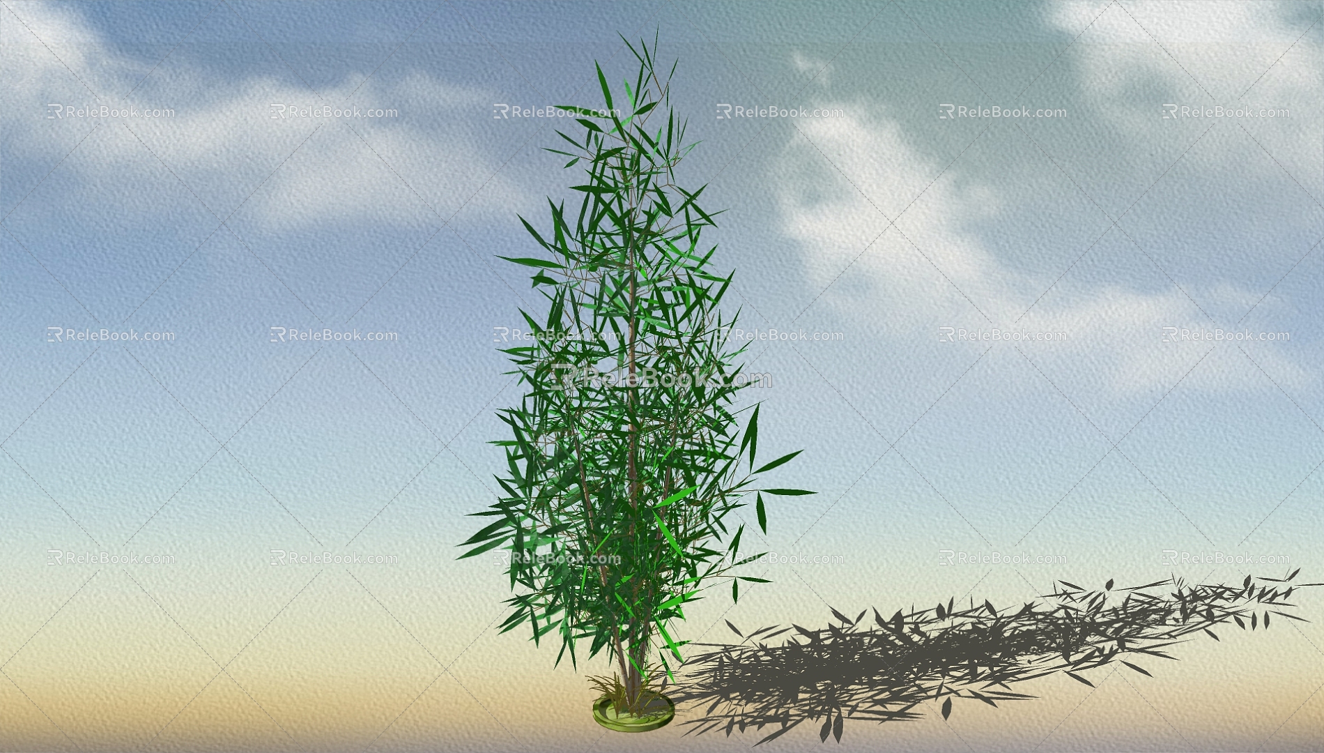 Bamboo 3d model