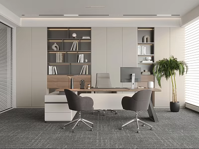 Modern Office Interior Design With Desk Chairs Bookshelves Computer Monitor And Potted Plant 3d model