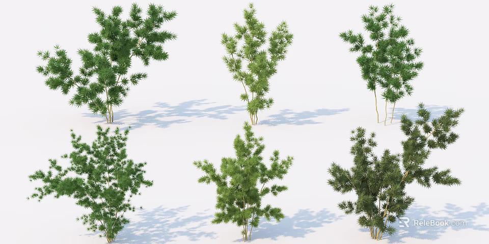 Different Types of Arbor Trees Featuring Green Leaves and Unique Growth Habits 3d model 