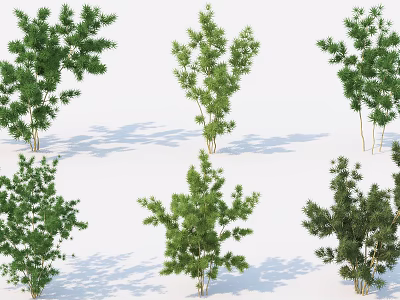 Different Types of Arbor Trees Featuring Green Leaves and Unique Growth Habits 3d model