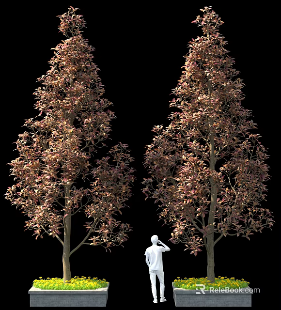 Two Trees With Reddish Brown Leaves Against Black Background And White Silhouette 3d model 