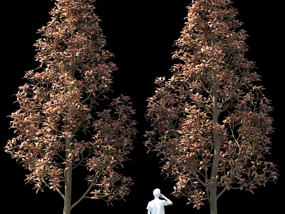 Two Trees With Reddish Brown Leaves Against Black Background And White Silhouette 3d model