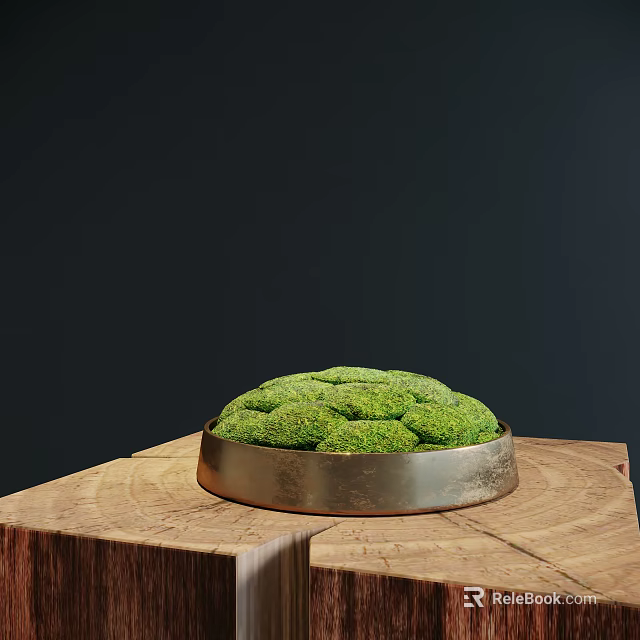 Green Moss Bonsai Plant in Metal Pot on Wooden Base Against Dark Background 3d model 