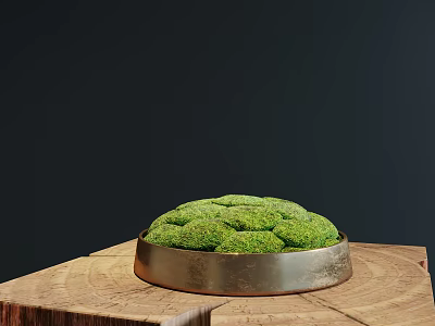 Green Moss Bonsai Plant in Metal Pot on Wooden Base Against Dark Background 3d model