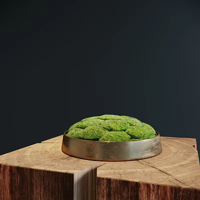 Green Moss Bonsai Plant in Metal Pot on Wooden Base Against Dark Background 3d model