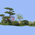 Various Types of Garden Shrubs with Greenery and Trees in Landscaping