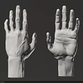 White Hand Models Showcasing Palm And Finger Details Against Dark Background