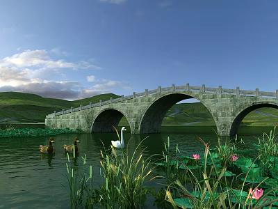 Scenic Stone Arch Bridge Featuring Ducks Swan Lotus Grass And Blue Sky 3d model