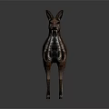 Realistic 3D Rendered Deer Model In Standing Pose With Detailed Texture On Gray Background 3d model
