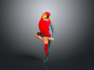 Vibrant Red Parrot with Colorful Feathers Perched on Wooden Branch Against Gray Background 3d model