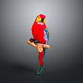 Vibrant Red Parrot with Colorful Feathers Perched on Wooden Branch Against Gray Background