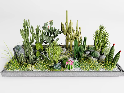 Various Cacti And Succulents Decorative Arrangement In Gray Tray With Small Stones And Moss 3d model