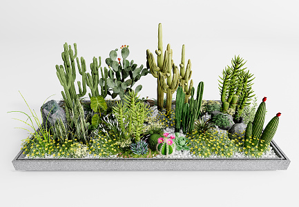 Modern plant potted cactus landscape sketch 3d model