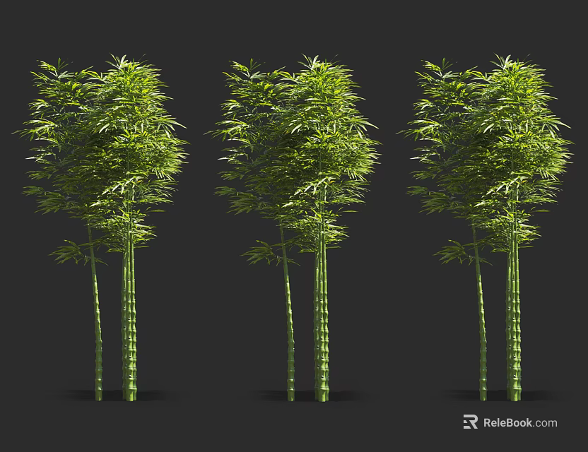 Green Bamboo Plants With Tall Stems And Lush Foliage In Natural Setting 3d model 