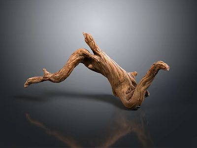 Natural Twisted Wooden Sculpture With Intricate Texture On Dark Background Reflection 3d model
