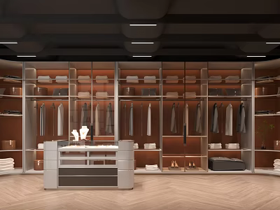 Modern Walk In Closet With Glass Wardrobes And Hanging Clothes 3d model