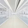 Modern Laboratory With Long Corridor Glass Partitions White Benches Cabinets And Bright Workspace