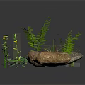 Natural Green Plants With Ferns Yellow Flowers Small Grasses And Stones