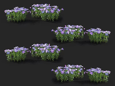 Clusters of Vibrant Purple Flowers with Fresh Green Leaves on Black Background 3d model