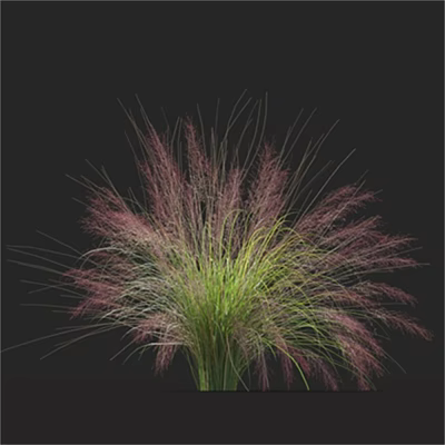 Modern chaos grass 3d model