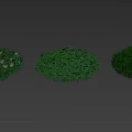 Different Types of Round Shaped Lush Green Grass and Plant Clumps in Garden